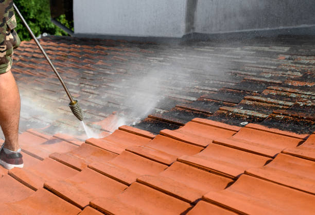 Best Best Pressure Washing Companies  in Egypt, PA