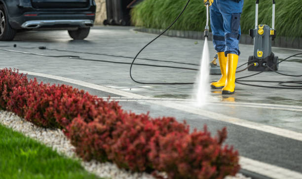 Best Pressure Washing Driveway  in Egypt, PA